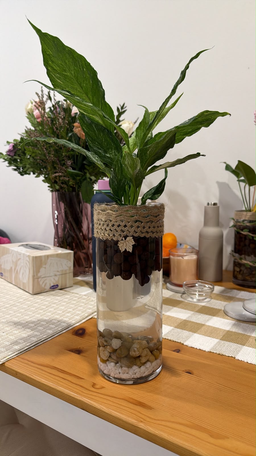 Detail of a tall clear plant vessel with stone and water layers